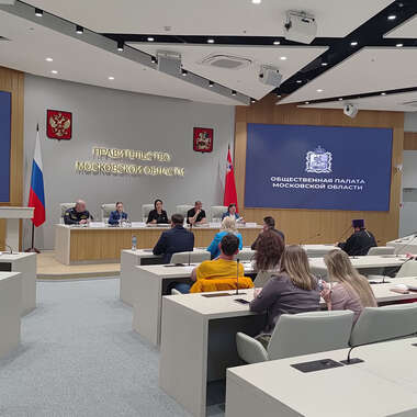 Межкомиссионная рабочая группа по вопросам демографии, защите семьи и детства